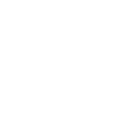 The Family Rojas Circus LLC