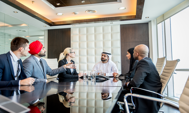 Company Setup in SHAMS